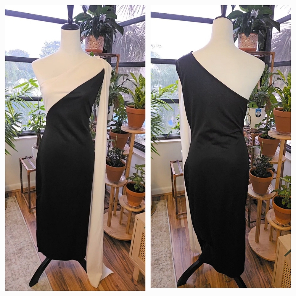 Black & White One-Shoulder Maxi Dress (Size L)